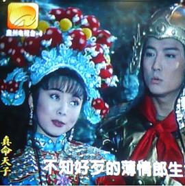 真命天子免费观看